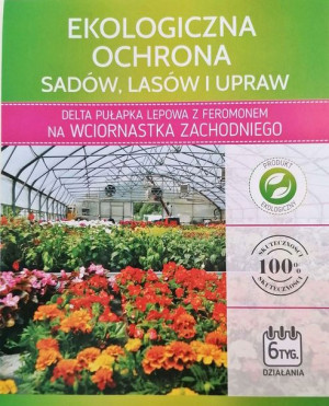 Pułapka Delta na Wciornastka z Feromonem