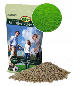 Trawa Granum Rekreacyjna Mieszanka Traw 15KG