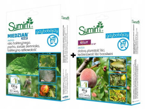 Miedzian 50WP 100G + Syllit 65WP 45G Zestaw Sumin