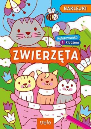 Kolorowanka z kluczem zwierzęta naklejki