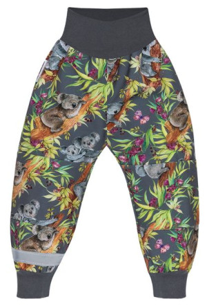 Spodnie dziecięce softshell, koala