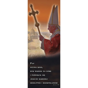 Baner – Benedykt XVI