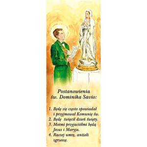 Baner – Święty Dominik Savio