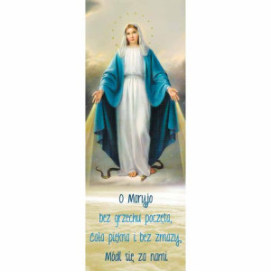 Baner – Matka Boża Niepokalana