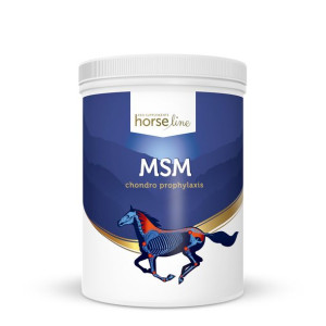 HorseLinePro MSM 1300g SUPLEMENT NA STAWY SIARKA