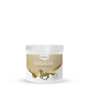 HorseLinePro COLLAGEN 300g KOLAGEN DLA KONI STAWY