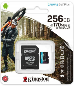 Karta Pamięci Micro Sd 256gb Kingston Go! Plus