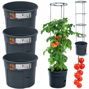 Zestaw X3 Doniczka Planter Uprawy Pomidorów Donica