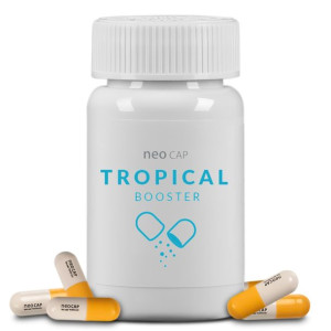 Neo Cap Tropical Booster 20 Kapsułek Pożywka Dla Bakterii Czyszczenie Wody