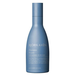 Repair Shampoo naprawczy szampon do włosów suchych i zniszczonych 250ml