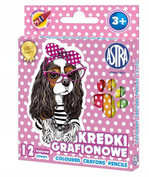 Kredki grafionowe z glinki kaolinowej 12 kolorów