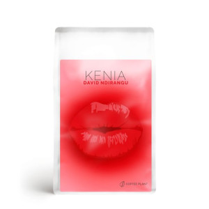 Coffee Plant Kenia Karindi 250g