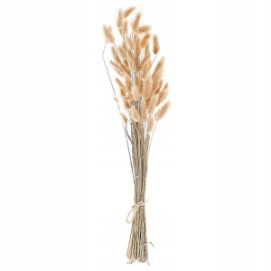 Bukiet suszonych kwiatów 58 cm naturalny SANABRIA!