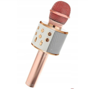 Mikrofon Karaoke Dla Dzieci Modulacja Głosu Głośnik (gold Rose)