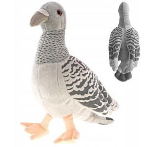 Pluszowy Gołąb Maskotka Na Prezent Dla Dzieci 22cm