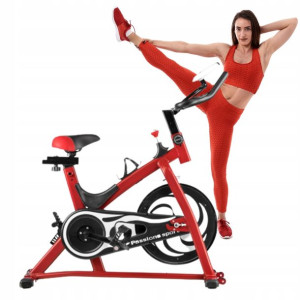 Rower Treningowy Rowerek Stacjonarny Magneto Fit