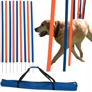 Agility Słupki Drążki Do Slalomu Trening Pozytywny