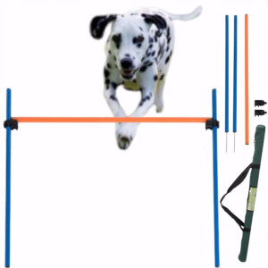 Płotek Przeszkoda Agility Trening Różne Wysokości