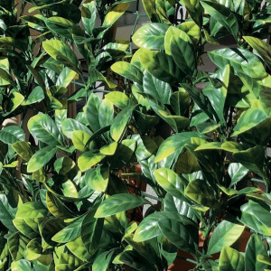 Żywopłot Syntetyczny Na Siatce Plastikowej Divy 3d Plus Laurus 1x3 M