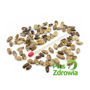 Polski Ostropest Plamisty 1kg Super Jakość Premium