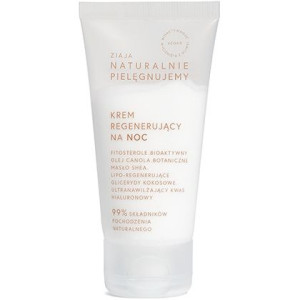 Pielęgnujący Krem Regenerujący do Twarzy Noc 50ml