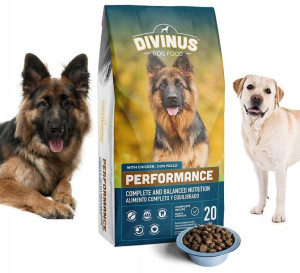 DIVINUS dla Owczarka Labradora 42% Mięsa 20kg
