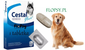 CESTAL PLUS Tabletki na odrobaczenie dla psa - sprzedaż na sztuki