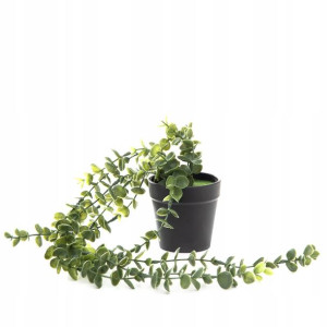 Roślina sztuczna EUCALYPTUS wisząca 50 cm HOMLA
