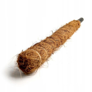 Palik Kokosowy Podpora Pnączy Tyczka 100 cm mocny