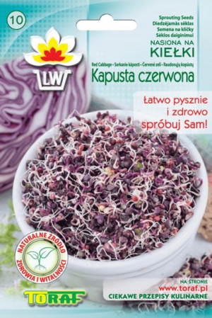 Kapusta Czerwona Nasiona Na Kiełki Toraf 10g