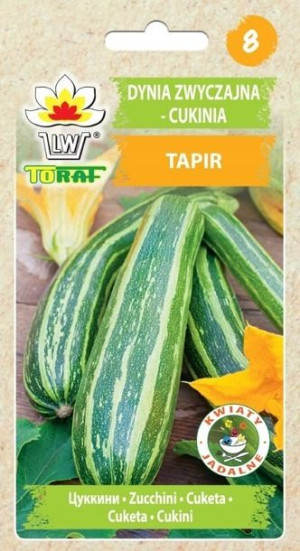 Cukinia Tapir Dynia Zwyczajna Nasiona Toraf 3g