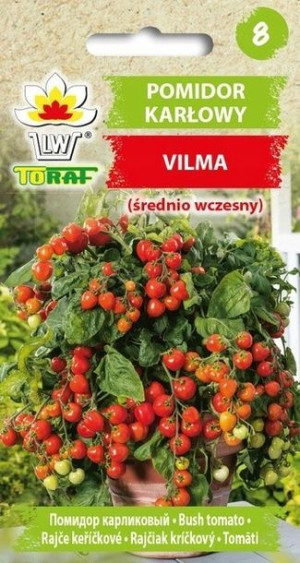 Pomidor Gruntowy Karłowy Vilma Nasiona Toraf 0,3g
