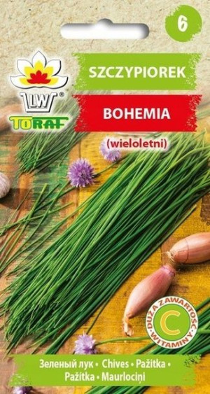 Szczypior Wieloletni Bohemia Nasiona Toraf 2g