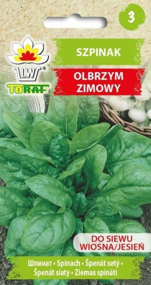 Szpinak Zimowy Olbrzym Nasiona Toraf 10g