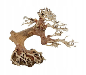 Progrow Bonsai Tree Bt9s 20x8x15cm