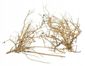 Progrow Branch Wood 0,1kg