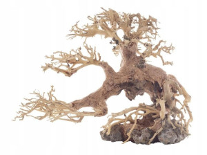 Progrow Bonsai Tree Bt5s 25x10x20cm