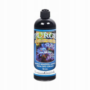 Purge 16oz 473ml V2