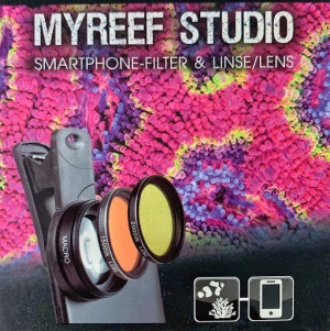 Arka Myreef Studio