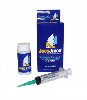 JoesJuice preparat zwalczający aiptasie