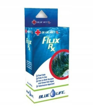Flux RX Saltwater - 2000mg