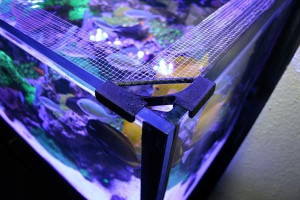 Banana Aquarium Fishguard - siatka