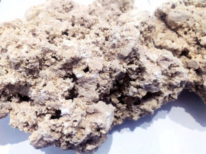 Sucha Skała Base Rock Indonesia 1 KG