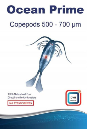 Ocean Prime Copepods 500-700 micron
