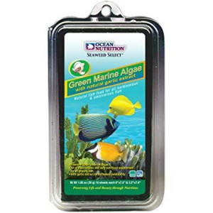 ON Seaweed Green Algi 20g + KLIPS