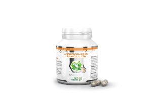 B&M Research Andrographis Paniculata 300 mg / Brodziuszka (90 kaps.)