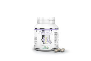 B&M Research Tarczyca Bajkalska ekstrakt 300 mg (90 kaps.)