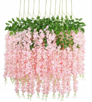 12 x Glicynia, wisteria, kwiaty w girlandzie, zwisy wisterii jasna różowa