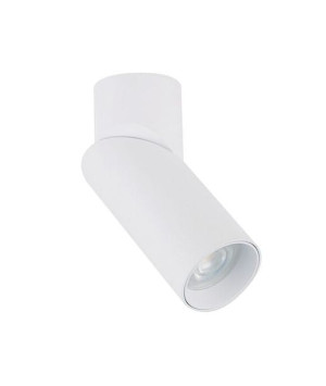 Oprawa sufitowa spot oczko LED Nowodvorski INDIA 7858 stal, biały
