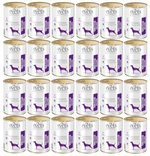 4VETS NATURAL Gastro Intestinal Dog 24x400g